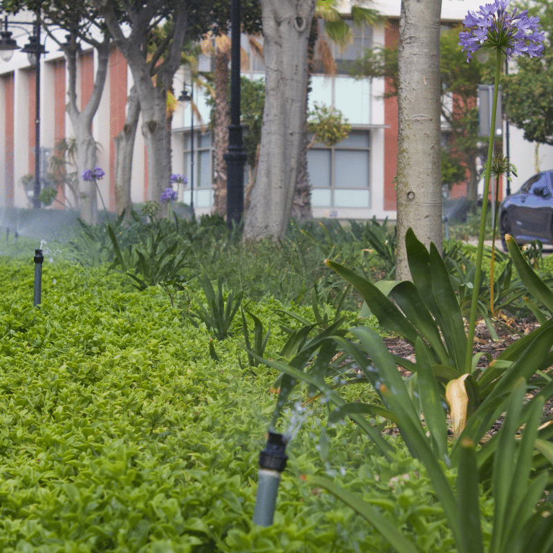 Century City Water and Irrigation
