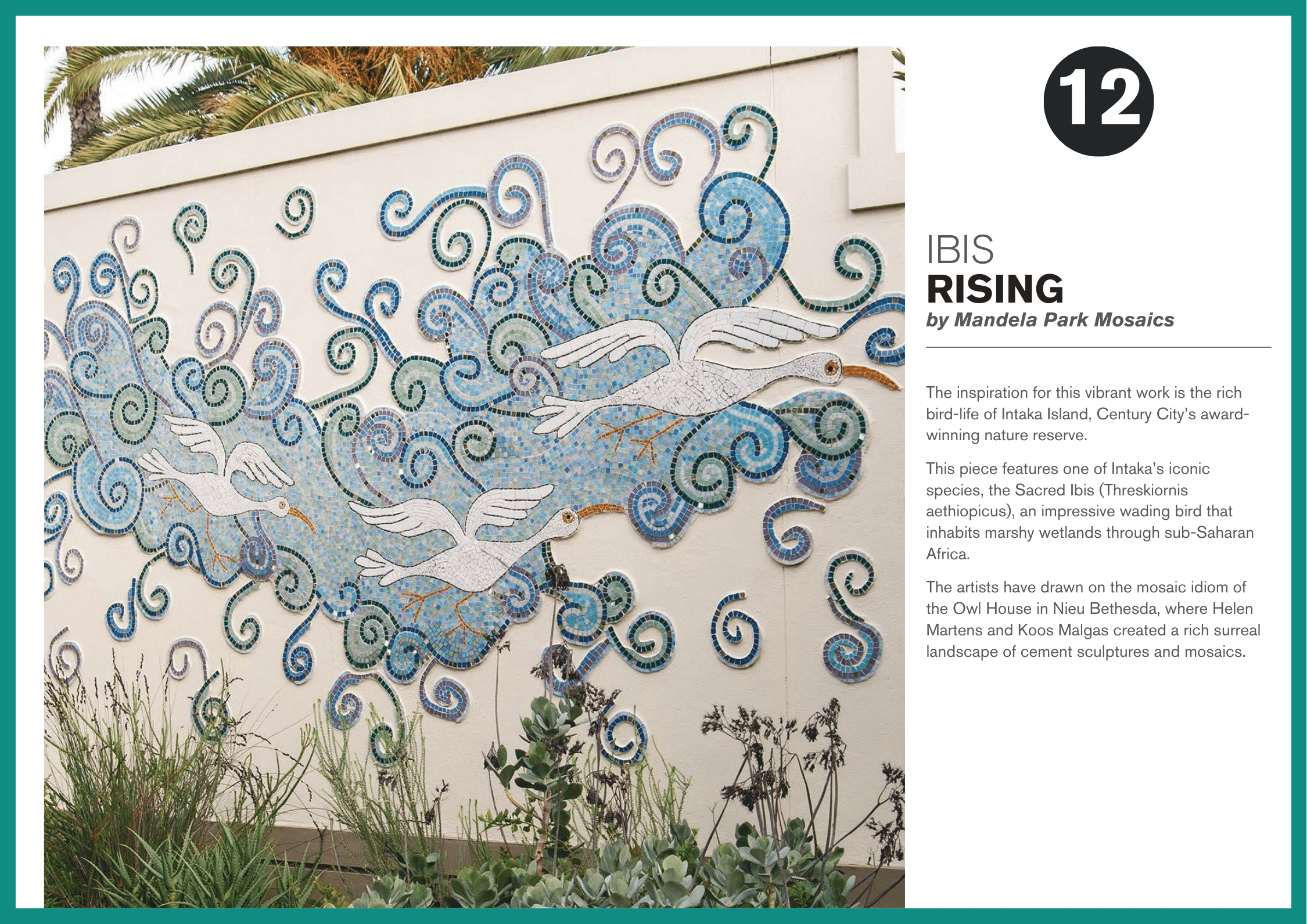 CCAF 12 - Ibis Rising