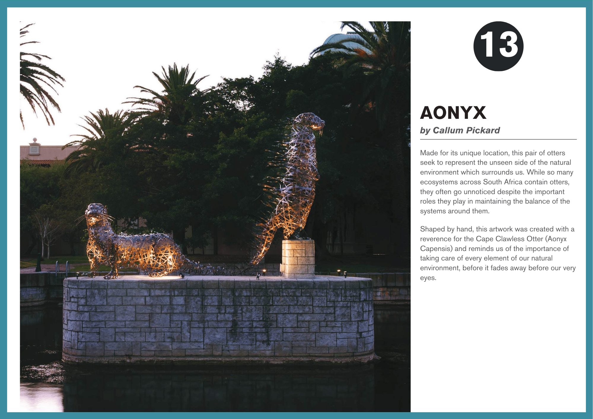 CCAF 13 - Aonyx